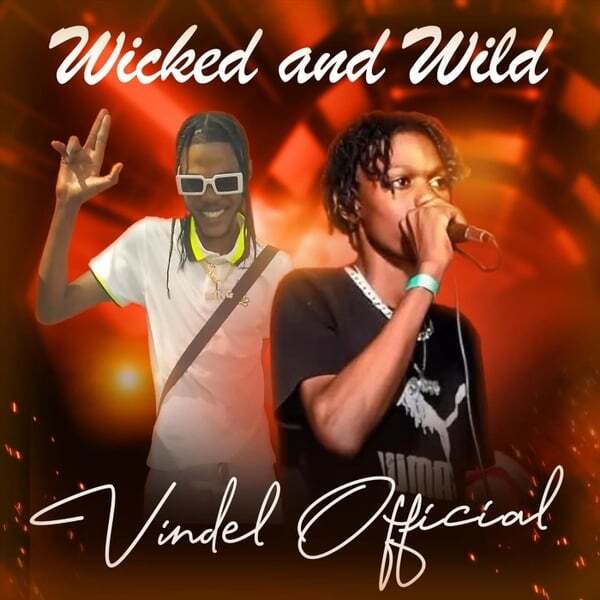 Cover art for Wicked and Wild (radio mix)